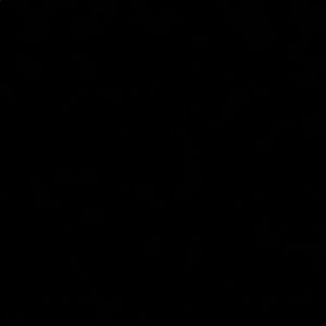 Meet your Posher, Janice